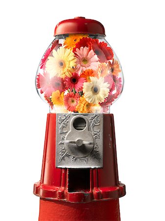 Flowers in Gumball Machine Stock Photo - Rights-Managed, Code: 700-02377620