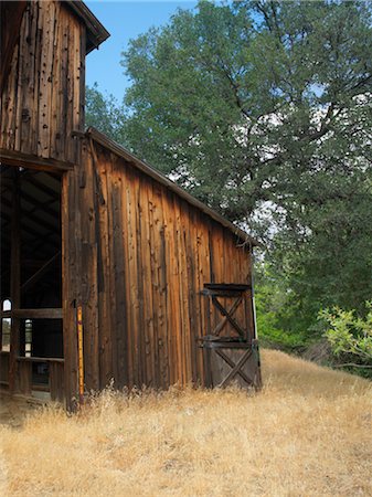 photos old barns - Old Barn in Field, Northern California, California, USA Foto de stock - Con derechos protegidos, Código: 700-02377648