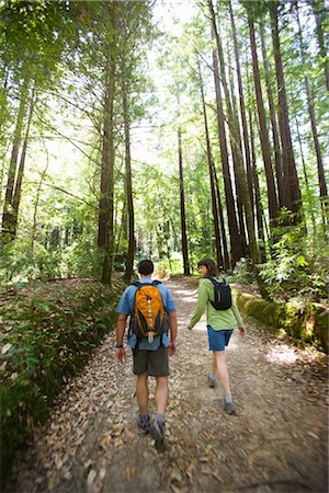 simsearch:600-01693945,k - Couple Walking on Path in Forest, Santa Cruz, California, USA Stock Photo - Rights-Managed, Code: 700-02386013