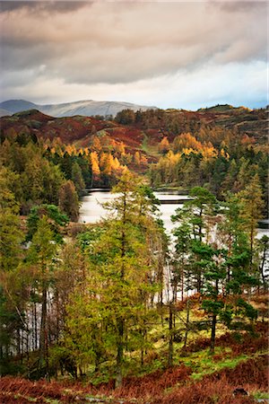 simsearch:841-07590500,k - Autumn, Tarn Hows, Lake District, Cumbria, England Stock Photo - Rights-Managed, Code: 700-02428455