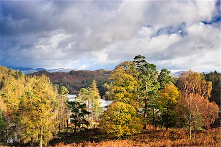 simsearch:841-07590500,k - Autumn, Tarn Hows, Furness Fells, Lake District, Cumbria, England Stock Photo - Rights-Managed, Code: 700-02428459