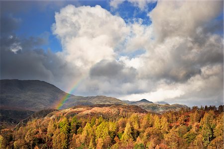 simsearch:841-07590500,k - Autumn, Tarn Hows, Lake District, Cumbria, England Stock Photo - Rights-Managed, Code: 700-02428460