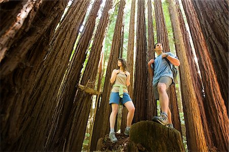 simsearch:600-01693945,k - Hikers Standing on Tree Stump in Redwood Forest, Santa Cruz, California, USA Stock Photo - Rights-Managed, Code: 700-02429071