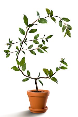 financial gain - Euro-Shaped Plant Growing in Pot Stock Photo - Rights-Managed, Code: 700-02429138