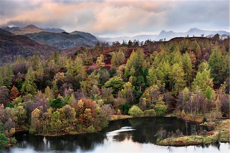 Autumn, Tarn Hows, Lake District,Cumbria, England Foto de stock - Con derechos protegidos, Código: 700-02463571