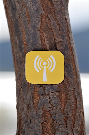 Wifi Symbol on Tree Stock Photo - Rights-Managed, Code: 700-02594042