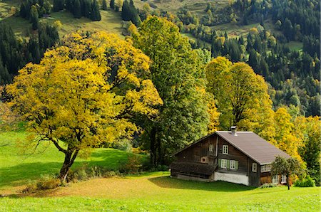 exterior color for house in the forest - Farmhouse on Hillside, Grindelwald, Bernese Alps, Switzerland Stock Photo - Rights-Managed, Code: 700-02633448