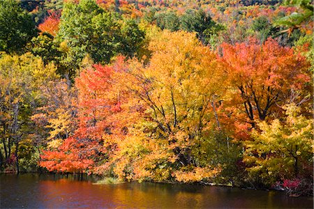 Autumn Trees by Lake, Vermont, USA Stock Photo - Rights-Managed, Code: 700-02669718