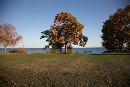 Field and Trees by Lake, Presqu'ile Provincial Park, Ontario, Canada Stock Photo - Rights-Managed, Code: 700-02738096