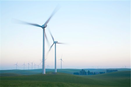 Wind Turbines, Bird's Landing, California, USA Foto de stock - Con derechos protegidos, Código: 700-02738523