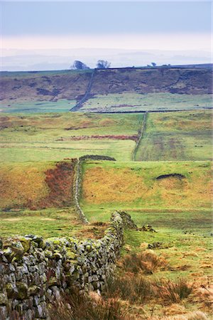 simsearch:845-03464660,k - Hadrian's Wall, Northumberland, England, United Kingdom Foto de stock - Con derechos protegidos, Código: 700-02754694