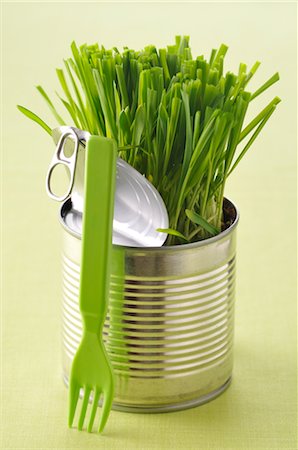 Herbs in Tin Can Stock Photo - Rights-Managed, Code: 700-02756494