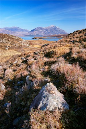 simsearch:700-03508663,k - Moorland, Loch Torridon and Liathach, Torridon, Scotland Stock Photo - Rights-Managed, Code: 700-02798146
