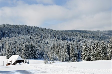 simsearch:700-02590737,k - Black Forest in Winter, Near Schoenwald, Baden-Wuerttemberg, Germany Stock Photo - Rights-Managed, Code: 700-02833923
