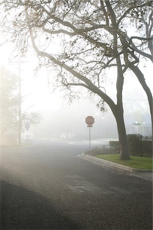 road and stop sign - Morning Fog Over Neighbourhood Stock Photo - Rights-Managed, Code: 700-02922839