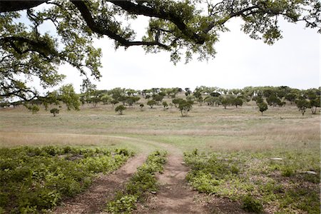 Round Mountain, Texas Hill Country, Texas, USA Stock Photo - Rights-Managed, Code: 700-02922870