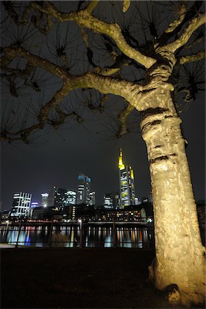 simsearch:700-06144829,k - Tree and Frankfurt Skyline, Hesse, Germany Stock Photo - Rights-Managed, Code: 700-02935305