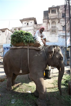 Street Scene, Jodhpur, Rajasthan, India Stock Photo - Rights-Managed, Code: 700-02958032