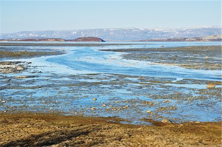 Stabbursnes Nature Reserve, Lapland, Norway Foto de stock - Con derechos protegidos, Código: 700-02967684