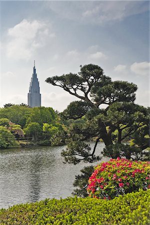 simsearch:700-02973215,k - Shinjuku Gyoen National Garden and Docomo Yoyogi Building, Tokyo, Japan Stock Photo - Rights-Managed, Code: 700-02973203