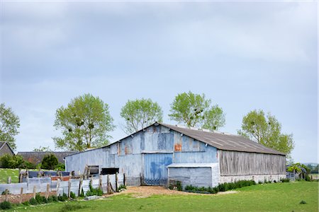 Corrugated Steel Barn, Normandy, France Stock Photo - Rights-Managed, Code: 700-03059164