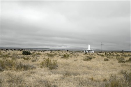 desert plant - Marfa, Presidio County, Texas, USA Stock Photo - Rights-Managed, Code: 700-03069163