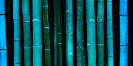 Gros plan d'une forêt de bambous au crépuscule, près de Kyoto, Japon Photographie de stock - Rights-Managed, Code: 700-03152249