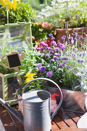 flower box - Watering Can and Potted Flowers in Garden Stock Photo - Rights-Managed, Code: 700-03229376