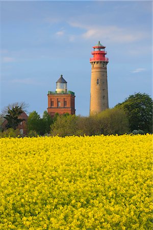 Rapeseed Field and Lighthouse in Spring, Kap Arkona, Island of Ruegen, Mecklenburg-Western Pomerania, Germany Stock Photo - Rights-Managed, Code: 700-03244040