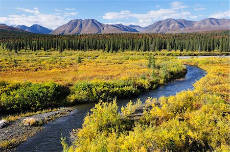 Tundra in Autumn Colours and Alaska Range, Alaska, USA Foto de stock - Con derechos protegidos, Código: 700-03244098