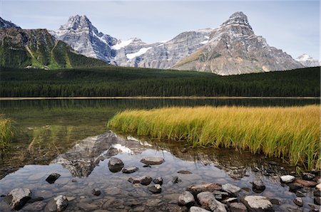 simsearch:600-03450844,k - Waterfowl Lake and Mount Cephren, Banff National Park, Alberta, Canada Stock Photo - Rights-Managed, Code: 700-03244112