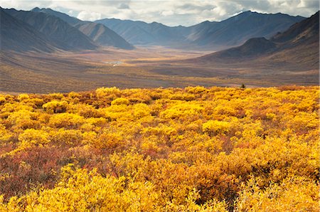 Tombstone Range and Autumn Tundra, Tombstone Territorial Park, Yukon Territory, Canada Stock Photo - Rights-Managed, Code: 700-03244209