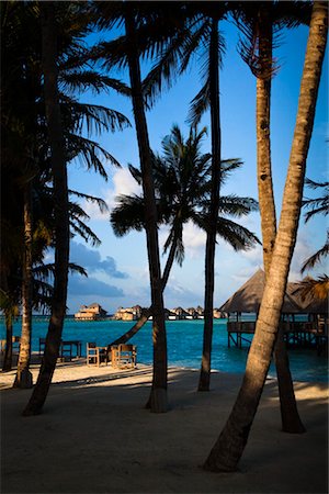 simsearch:600-02010145,k - Soneva Gili Resort, Lankanfushi Island, North Male Atoll, Maldives Stock Photo - Rights-Managed, Code: 700-03244265