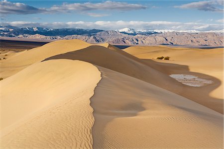 simsearch:700-03891190,k - Mesquite Flat Sand Dunes in Death Valley National Park, California, USA Stock Photo - Rights-Managed, Code: 700-03240531