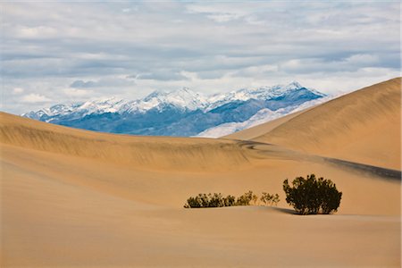 simsearch:700-03891190,k - Mesquite Flat Sand Dunes in Death Valley National Park, California, USA Stock Photo - Rights-Managed, Code: 700-03240533