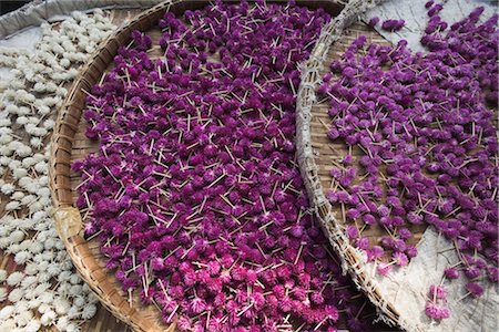 simsearch:700-08002075,k - Amaranth Flowers at Pak Klong Talat Market, Bangkok, Thailand Foto de stock - Con derechos protegidos, Código: 700-03405604