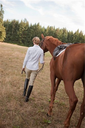 Teenager Leading Horse, Brush Prairie, Washington, USA Stock Photo - Rights-Managed, Code: 700-03407772