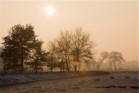 Field and Trees in Winter, Diepholz, Lower Saxony, Germany Stock Photo - Rights-Managed, Code: 700-03403755