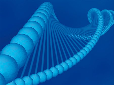 double helix - DNA Detail Stock Photo - Rights-Managed, Code: 700-03435203