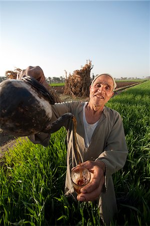 Tea Vendor, Cairo, Egypt Stock Photo - Rights-Managed, Code: 700-03445969