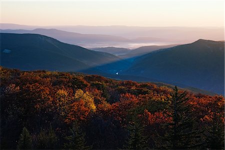 Autumn in Dolly Sods, Monongahela National Forest, Allegheny Mountains, West Virginia, USA Stock Photo - Rights-Managed, Code: 700-03440214