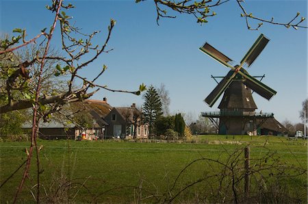 structure of there farm houses - Windmill and Farm House, Sint Jansklooster, Overijssel, Netherlands Stock Photo - Rights-Managed, Code: 700-03456533