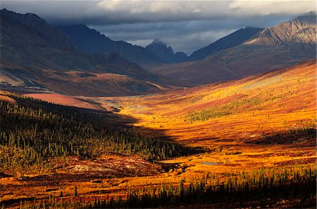 Tombstone Range, Tombstone Territorial Park, Yukon Territory, Canada Stock Photo - Rights-Managed, Code: 700-03451156