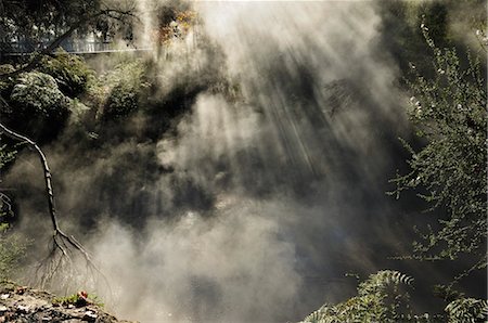 Sunrays through Steam at Hot Mud Pools, Kuirau Park, Rotorua, Bay of Plenty, North Island, New Zealand Stock Photo - Rights-Managed, Code: 700-03508290