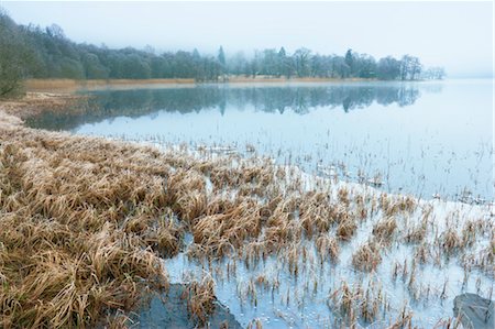 simsearch:700-03508663,k - Reeds, Loch Achray, Trossachs, Stirling, Scotland, United Kingdom Foto de stock - Con derechos protegidos, Código: 700-03508674