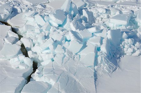polar climate - Pack Ice, Weddell Sea, Antarctic Peninsula, Antarctica Stock Photo - Rights-Managed, Code: 700-03503092