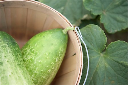 simsearch:700-06334366,k - Close-Up of Cucumbers in Basket Stock Photo - Rights-Managed, Code: 700-03587297