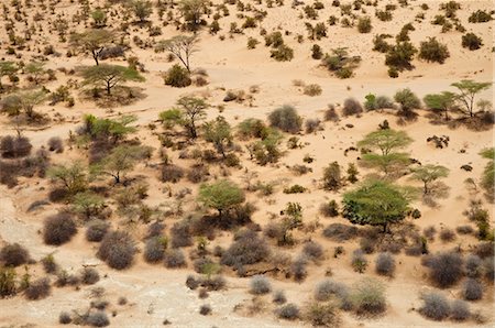 shrub - Aerial View, Lake Turkana, Kenya, Africa Stock Photo - Rights-Managed, Code: 700-03601412