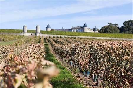 View of Chateau Saint-Georges and Vineyard, Saint-Georges, Gironde, Aquitane, France Stock Photo - Rights-Managed, Code: 700-03615417