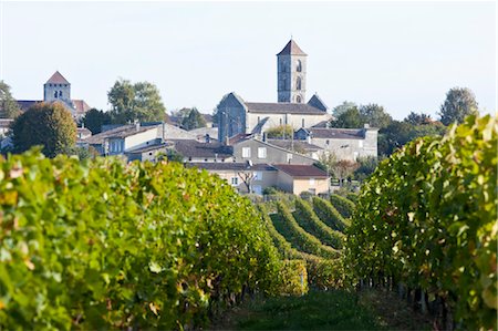 VINES IN Chateau Saint-Georges WITH VILLAGE AND MEDIEVAL CHURCH IN BACKGROUND, SAINT EMILION WINE, BORDEAUX, GIRONDE, AQUITAINE, NO PROPRETY RELEASE, Stock Photo - Rights-Managed, Code: 700-03615906